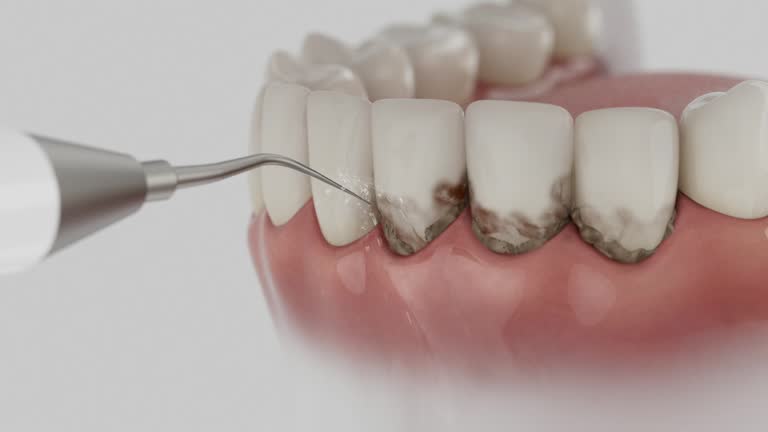 Reliable Dental contractor in Mercer County County, ND by Dentist Open Now